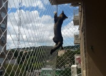 Redes de Proteção em Porto Alegre!