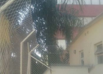 Redes de Proteção em Porto Alegre!